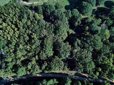 CLOSE TO LAKE DEGRAY! Nice wooded acreage off Hwy 7. Just a hop - photo 6