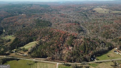 Ellijay, GA Cabin Resort Development on 60 Acres | North Georgia - photo 26
