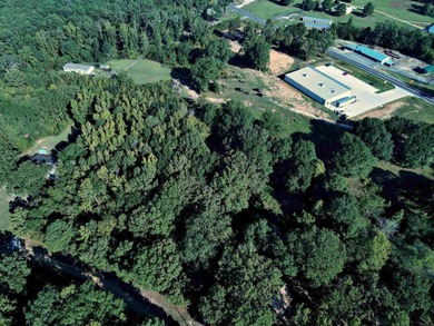 CLOSE TO LAKE DEGRAY! Nice wooded acreage off Hwy 7. Just a hop - photo 7