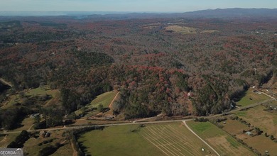 Ellijay, GA Cabin Resort Development on 60 Acres | North Georgia - photo 27