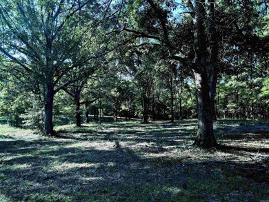 CLOSE TO LAKE DEGRAY! Nice wooded acreage off Hwy 7. Just a hop - photo 9