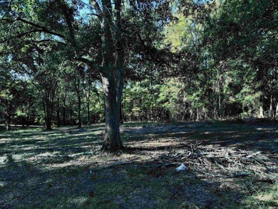 CLOSE TO LAKE DEGRAY! Nice wooded acreage off Hwy 7. Just a hop - photo 10
