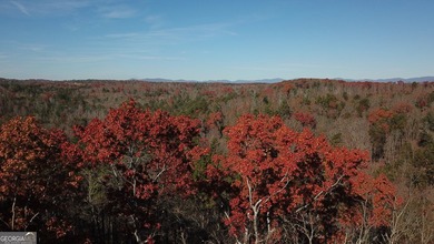 Ellijay, GA Cabin Resort Development on 60 Acres | North Georgia - photo 30