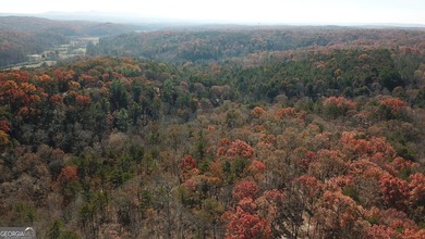Ellijay, GA Cabin Resort Development on 60 Acres | North Georgia - photo 32