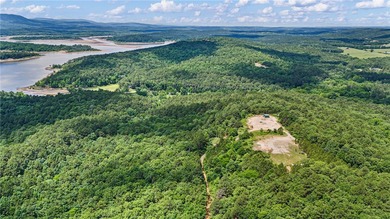 Discover 12 secluded acres near Magazine offering excellent - photo 3