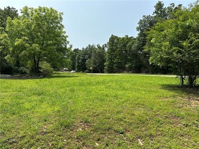 If you've been searching for a ready-to-build lot near Bull - photo 4