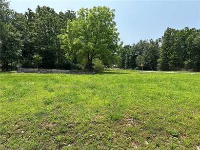 If you've been searching for a ready-to-build lot near Bull - photo 5