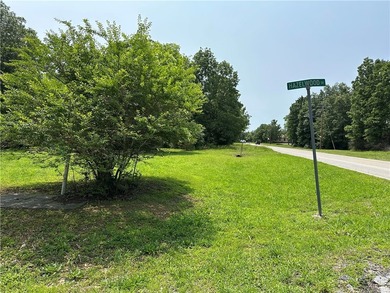 If you've been searching for a ready-to-build lot near Bull - photo 7