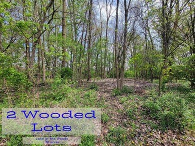 Break ground this summer on your dream home, vacation getaway - photo 3