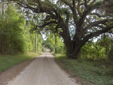 (private lake, pond, coastal) Acreage Active Under Contract in Ridgeland South Carolina