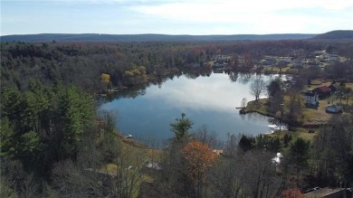 Harveys Lake Lot For Sale in Luzerne County Pennsylvania