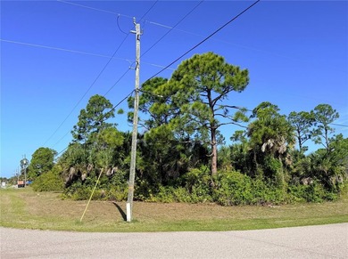 Don't miss this incredible opportunity to own a corner lot in - photo 3