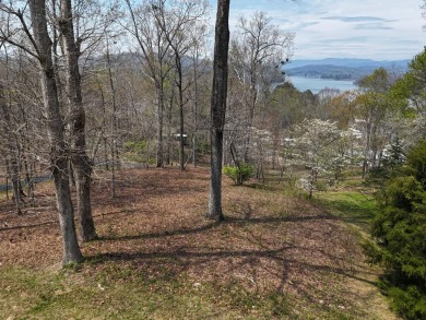 Lake Lot For Sale in Hayesville, North Carolina