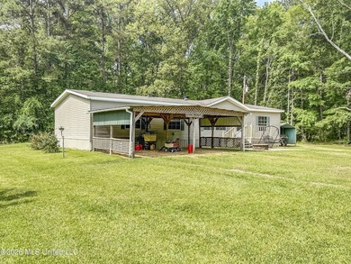 25 acres of rolling hills land available for sale near Terry, MS - photo 3