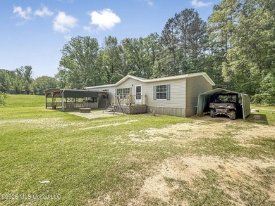 25 acres of rolling hills land available for sale near Terry, MS - photo 6