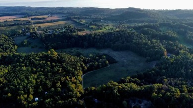 Lake Acreage For Sale in Shelby, Michigan
