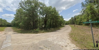 Withlacoochee River Lot For Sale in Dunnellon Florida