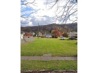 Ohio River Lot For Sale in Brilliant Ohio