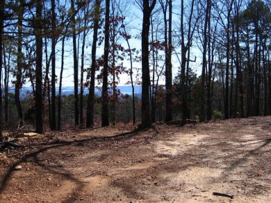 PANORAMIC, HALF- ACRE LAKE VIEW OF GREERS FERRY LAKE and vista - photo 13