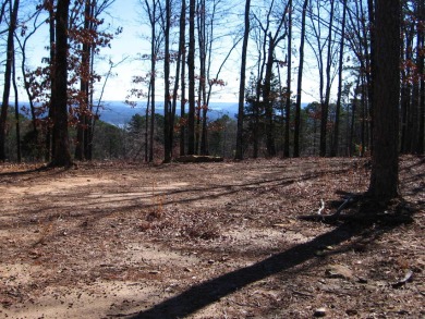 PANORAMIC, HALF- ACRE LAKE VIEW OF GREERS FERRY LAKE and vista - photo 14