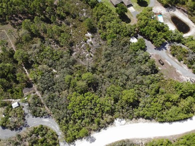 Reedy Lake Acreage For Sale in Frostproof Florida