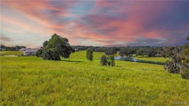 Lake Acreage For Sale in Inverness, Florida
