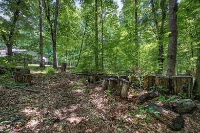 Custom-built 3BR/2BA on 12 wooded acres off Old Bon Air Rd - the - photo 44