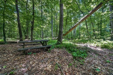 Custom-built 3BR/2BA on 12 wooded acres off Old Bon Air Rd - the - photo 48
