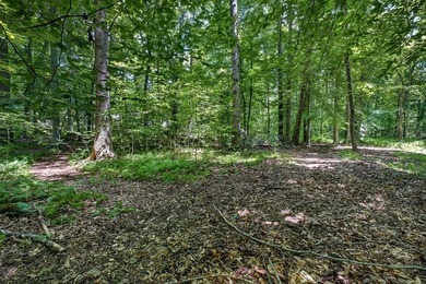 Custom-built 3BR/2BA on 12 wooded acres off Old Bon Air Rd - the - photo 49