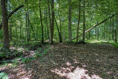 Custom-built 3BR/2BA on 12 wooded acres off Old Bon Air Rd - the - photo 50