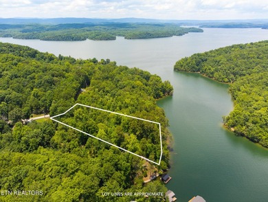 This is the very best lot Lakefront/Dockable lot available in - photo 1