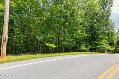 This is the very best lot Lakefront/Dockable lot available in - photo 2