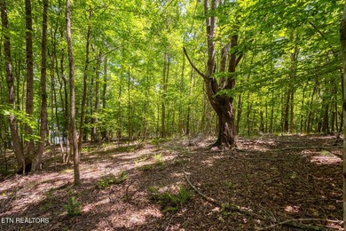 This is the very best lot Lakefront/Dockable lot available in - photo 3