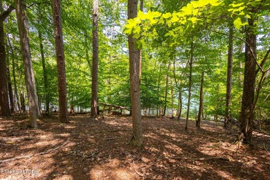 This is the very best lot Lakefront/Dockable lot available in - photo 4