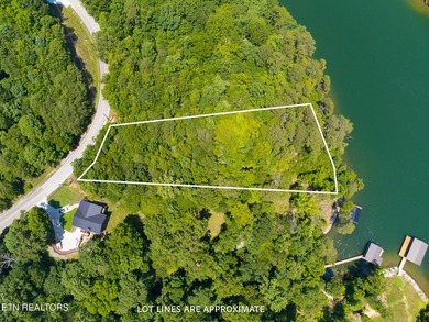 This is the very best lot Lakefront/Dockable lot available in - photo 5
