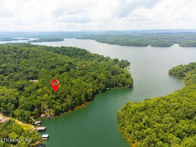 This is the very best lot Lakefront/Dockable lot available in - photo 6