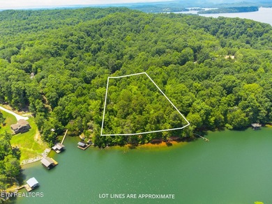 This is the very best lot Lakefront/Dockable lot available in - photo 7