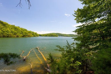 This is the very best lot Lakefront/Dockable lot available in - photo 8