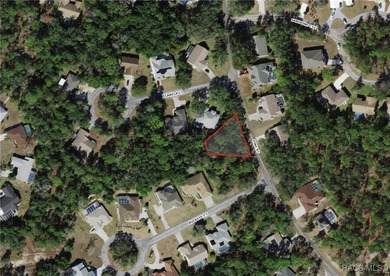 Explore this exceptional 0.25-acre estate lot in the highly - photo 2