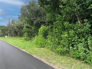 Explore this exceptional 0.25-acre estate lot in the highly - photo 6