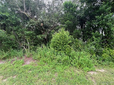 Explore this exceptional 0.25-acre estate lot in the highly - photo 8