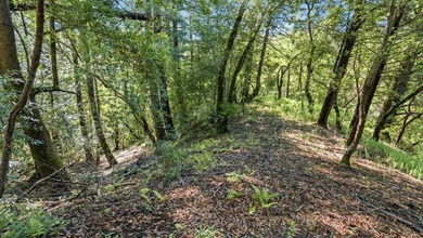 Tucked away in the peaceful redwoods of Boulder Creek, 360 - photo 11