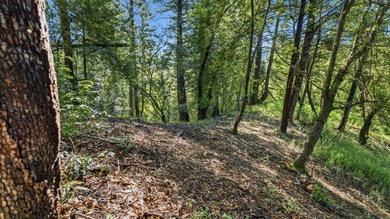 Tucked away in the peaceful redwoods of Boulder Creek, 360 - photo 13