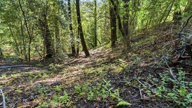 Tucked away in the peaceful redwoods of Boulder Creek, 360 - photo 15
