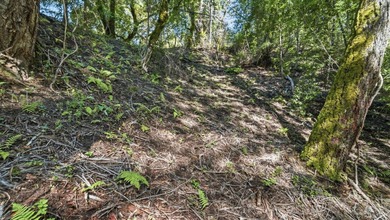 Tucked away in the peaceful redwoods of Boulder Creek, 360 - photo 16
