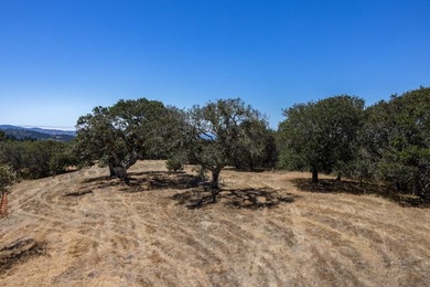 Set high within Tehama with sweeping ocean, bay, and valley - photo 6