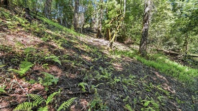 Tucked away in the peaceful redwoods of Boulder Creek, 360 - photo 19