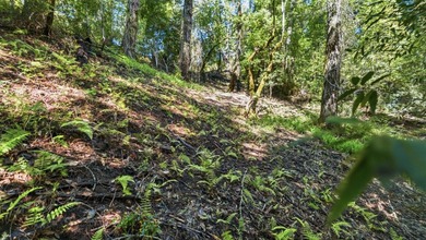 Tucked away in the peaceful redwoods of Boulder Creek, 360 - photo 20