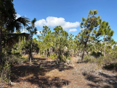 This 7.93 surveyed acre commercial development site is located - photo 20