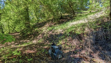 Tucked away in the peaceful redwoods of Boulder Creek, 360 - photo 21